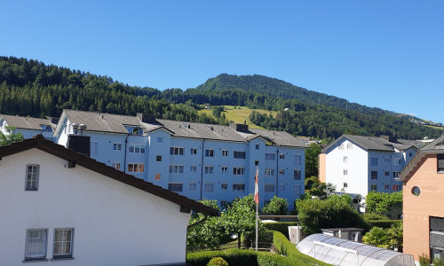 Insel Ufnau