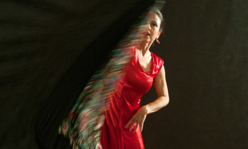Fremdveranstaltung: Flamenco Konzert