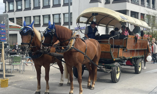Aarau wird zum Bauernhof