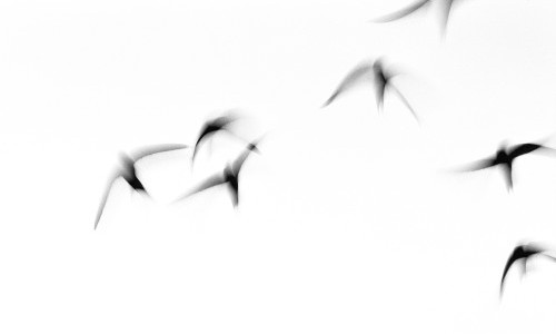 Kaspar Ruoff &ndash; himmelw&auml;rts: Auf leichten Schwingen