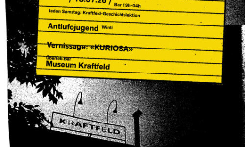 Museum Kraftfeld, Vernissage: &laquo;kuriosa&raquo;, Die Abholung - The End is Nigh, Antiufojugend