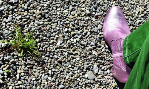 Sonderausstellung &laquo;Kleiner Kiesel ganz gross&raquo;