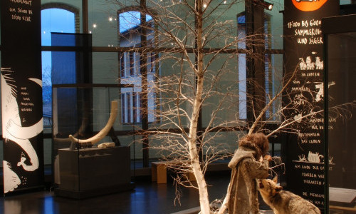 Museum f&uuml;r Urgeschichte(n)