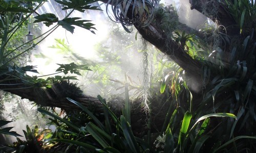 The tropical Zurich