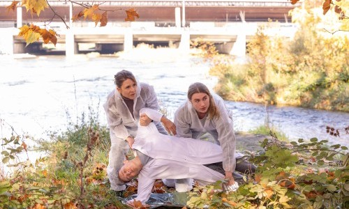 &laquo;Schwemmholz&raquo;