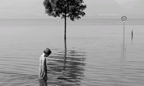 Heimatbilder Franz Noser