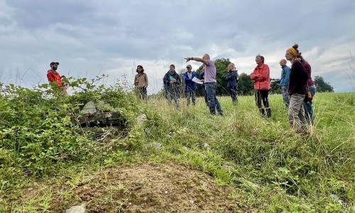Bunte Artenvielfalt in Cham