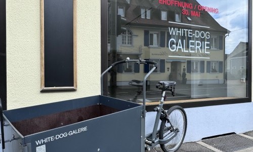 White-Dog-Galerie