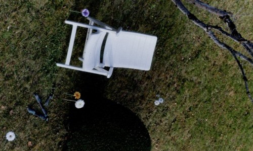 Workshop Guerilla Gardening - die sanfte Revolution