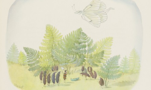 Ernst Kreidolf und der Kreislauf des Lebens