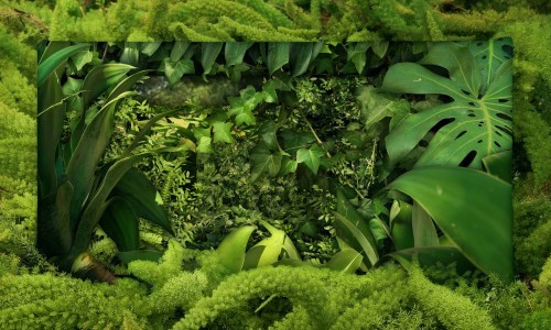 Führung Aargauer Kuratorium