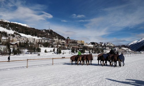 Evviva Polo St. Moritz AG