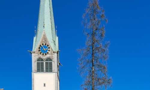 Reformierte Kirche W&auml;denswil