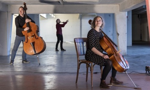 StimmSaiten - Aurora - Fr&uuml;hklang