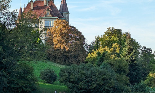Klopfstockwiese