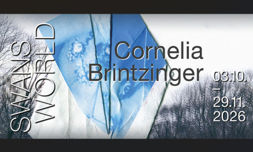 SWANS WORLD - Cornelia Brintzinger