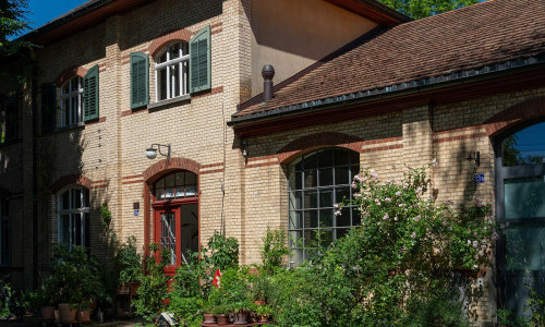 Feilenhauer