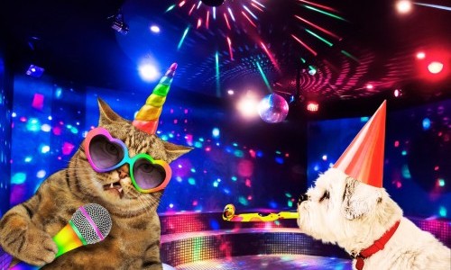 Museumsnacht 2026: Grosse &laquo;Take a Break&raquo;-Party