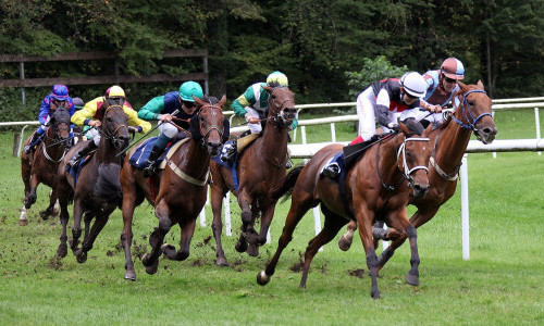 Pferderennbahn Schachen