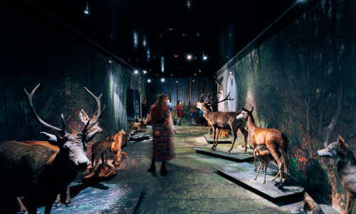 Naturmuseum Wallis