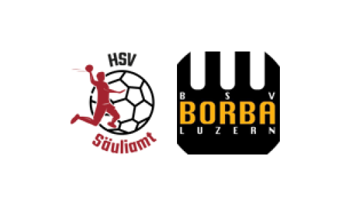 HSV S&auml;uliamt 2 - SG BSV Borba Luzern / TV Horw