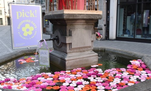 Brunnenschmuck von Walter Zellweger