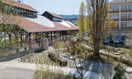 Koch Park
