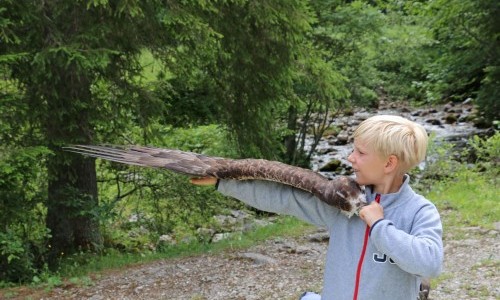 Exkursion: Im Reich der Steinadler
