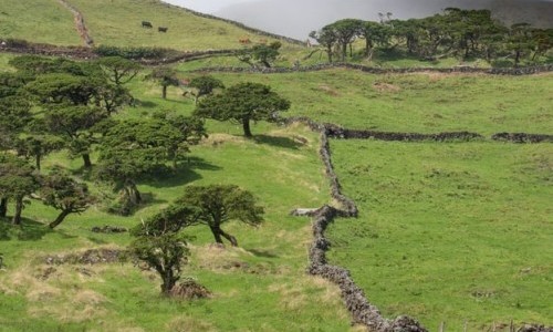 3Sat: Traumorte - Die Azoren