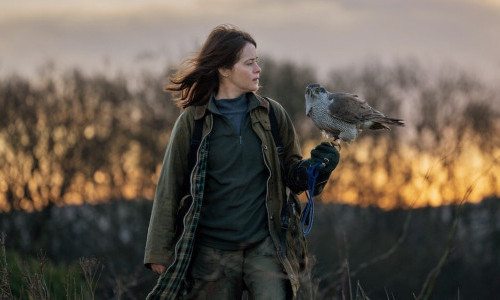 H Is for Hawk