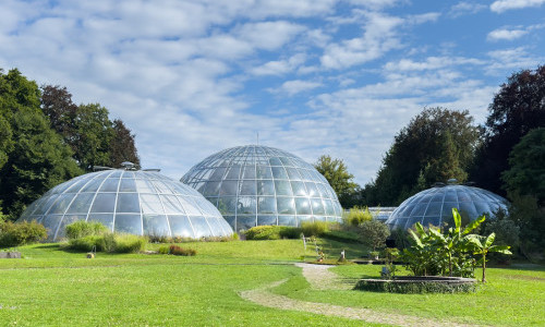 Botanischer Garten